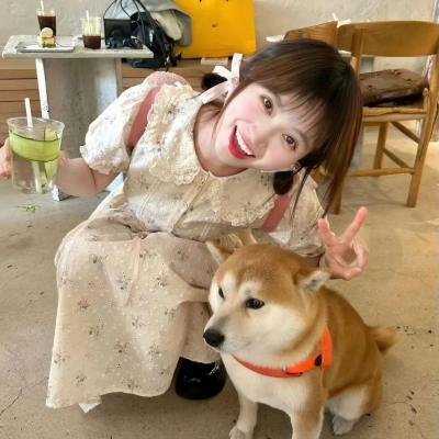 疯狂衣橱第一季