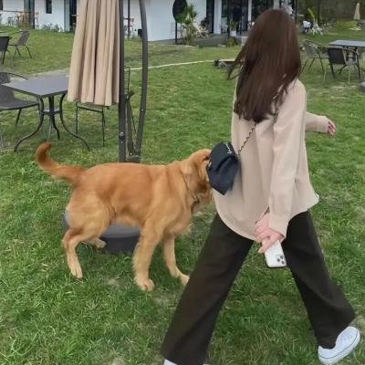 司法正义